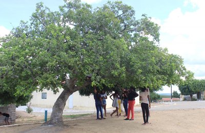 Decreto presidencial destina área para território quilombola em Alagoas