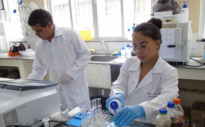 Pesquisa da Uesb detecta contaminação em méis vendidos nas feiras de Itapetinga e Itororó