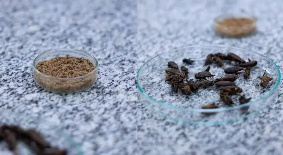 Foto: Igor Alisson/Inova Unicamp