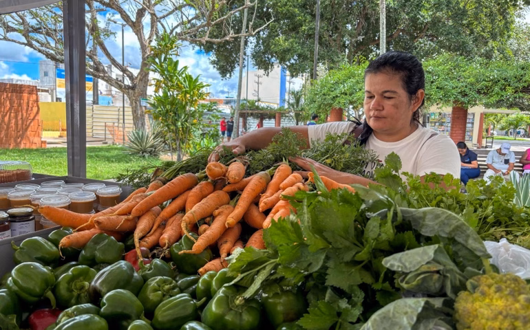 Penedo sedia feira regional da agricultura familiar no dia 17 de junho