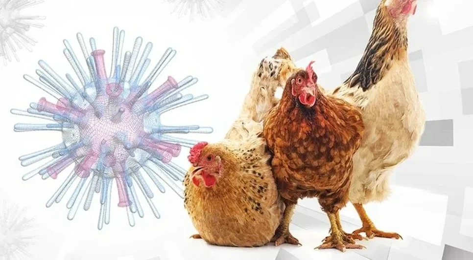 1d296ec0-704c-482e-82b4-8a3dc6df61fc-1