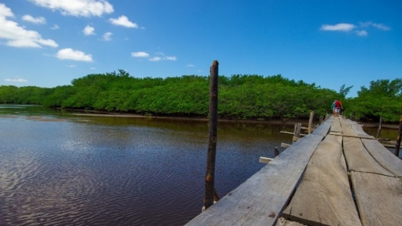 II Encontro Alagoano em Educação Ambiental ocorre em Porto de Pedras
