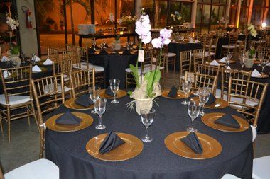 DSC_2895-(Copy).jpg