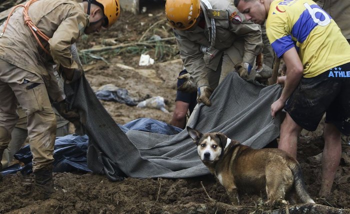 Bombeiros mantêm buscas em locais onde houve deslizamentos Bombeiros mantêm buscas em locais onde houve deslizamentos