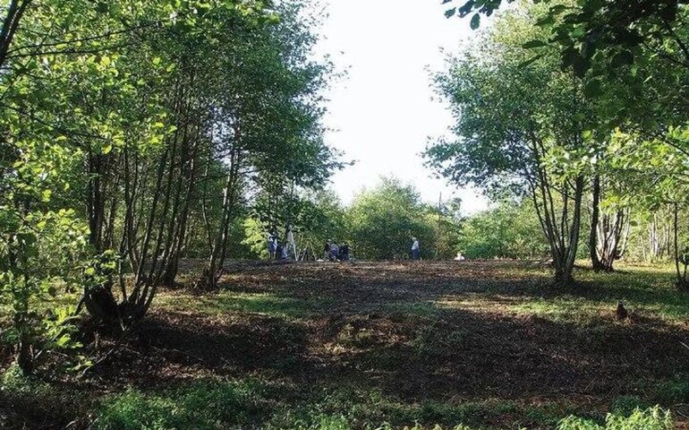 Monte da Idade do Bronze na Geórgia revela origens agrícolas e adaptações antigas no Cáucaso