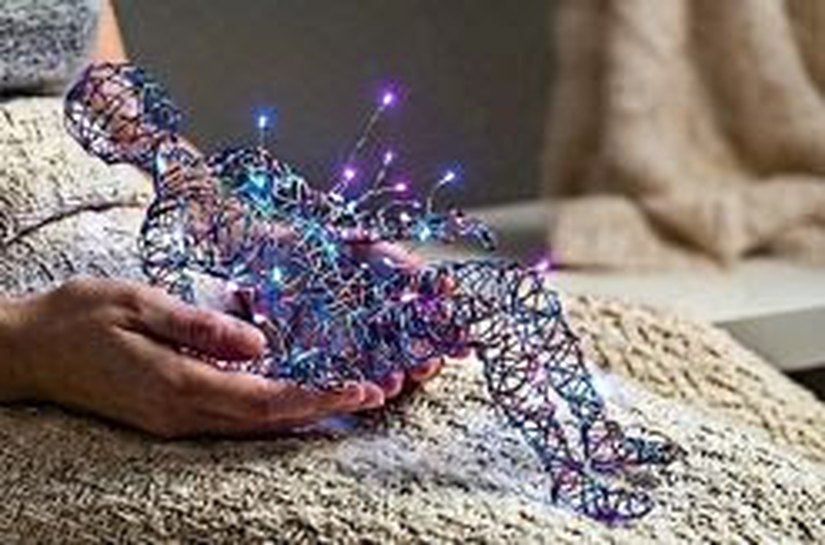 Nova Lei da Fibromialgia garante direitos a milhões de brasileiros