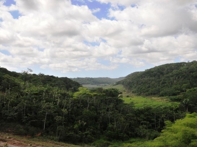 Selo nacional Empresa Amiga da Mata Atlântica será lançado em Alagoas