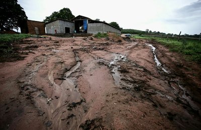 Fiscalização interdita salgadeira e apreende 30 toneladas de couro irregular