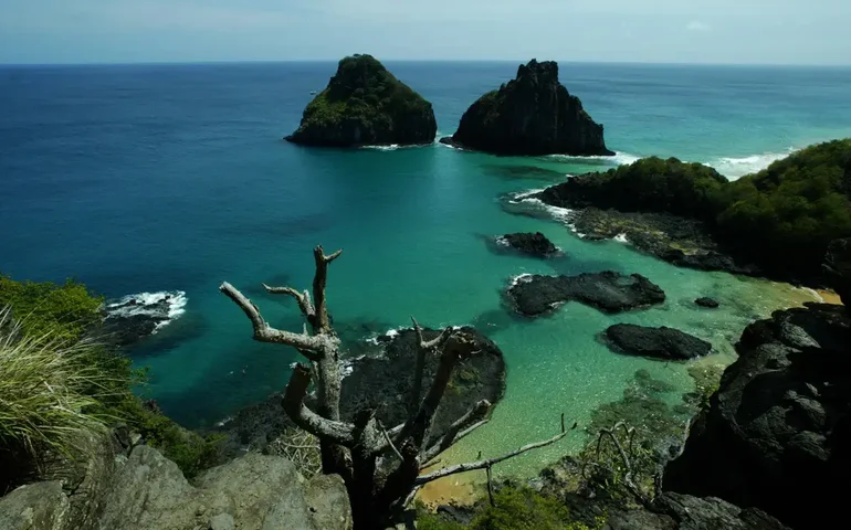 Quase 50% dos turistas usam redes como fonte de informação de viagem