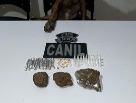 PM-AL apreende 33 armas e quase 14 quilos de drogas em uma semana