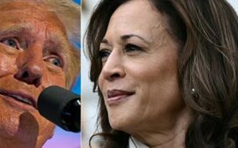 100 dias até as eleições: efeito Kamala acirra disputa na reta final nos EUA