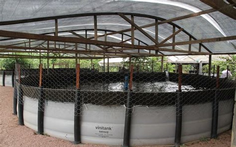 Governo cederá uso de águas sob domínio da União para projetos em aquicultura