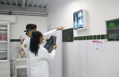 Dia dos profissionais das técnicas radiológicas é celebrado com aumento de inserção do mercado de trabalho