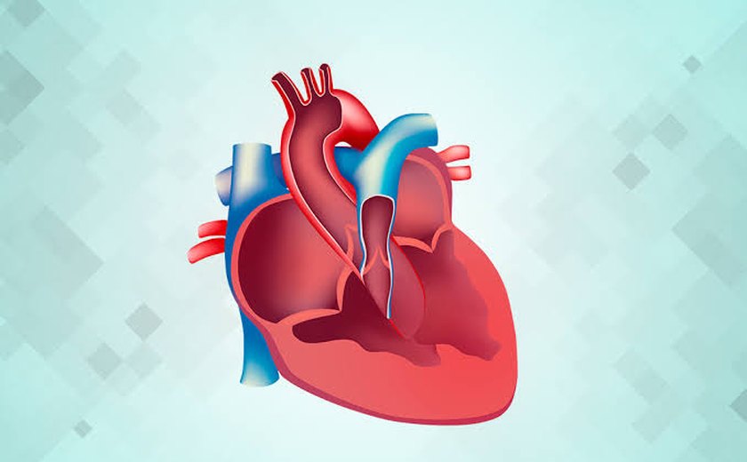 Governo de Alagoas assegura cirurgia e tratamento para criança cardiopata