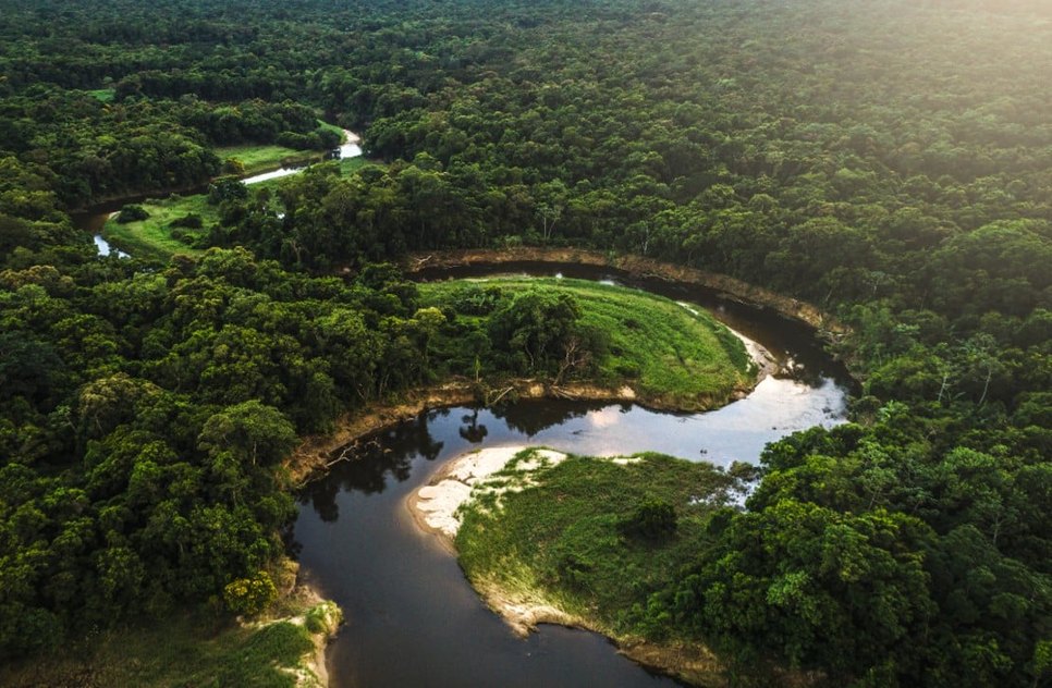 Amazônia-brasileira-1 / Foto: Foto: Reprodução