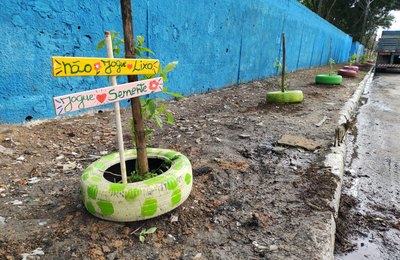 Arborização: Desenvolvimento Sustentável já plantou 1.300 mudas de árvores na capital 