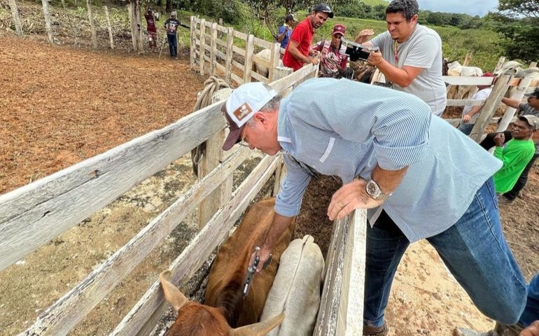 Fazenda Belo Horizonte, em Novo Lino, recebe segunda etapa da campanha de vacinação contra aftosa