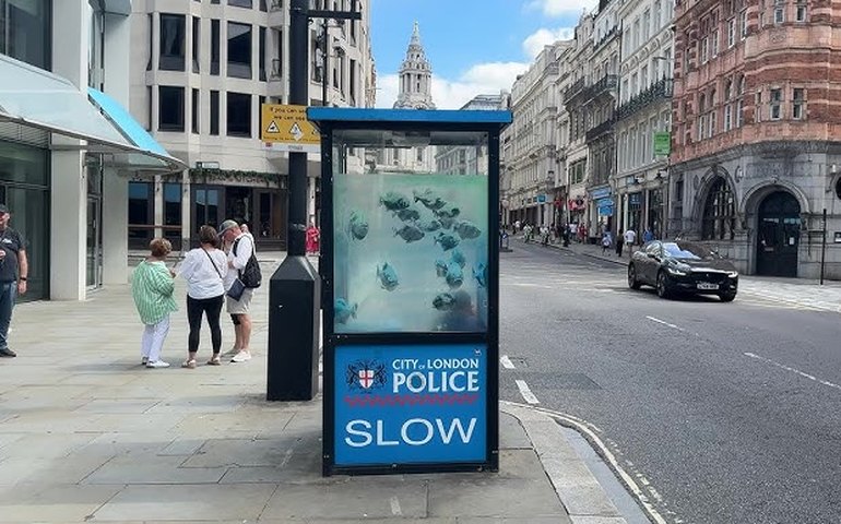 Banksy fecha semana que transformou Londres em zoológico com piranhas; veja fotos