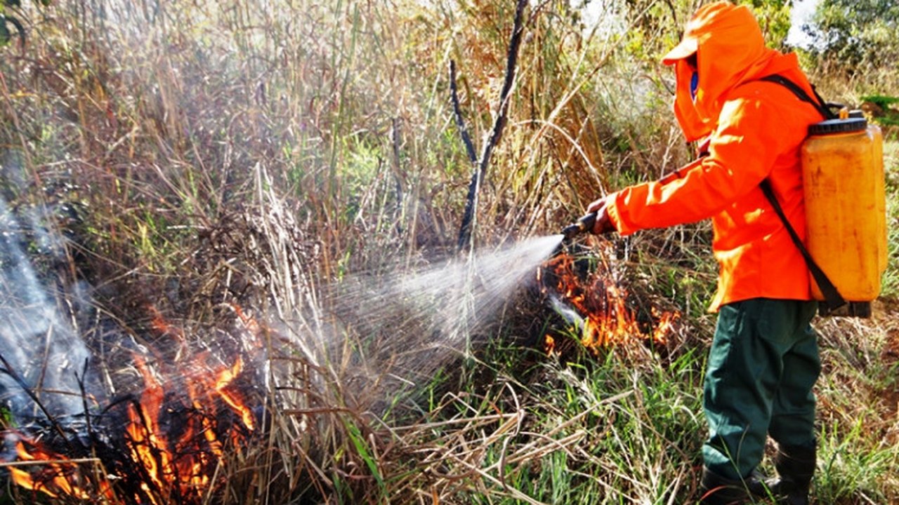 Brigadistas temporários vão combater queimadas durante a seca