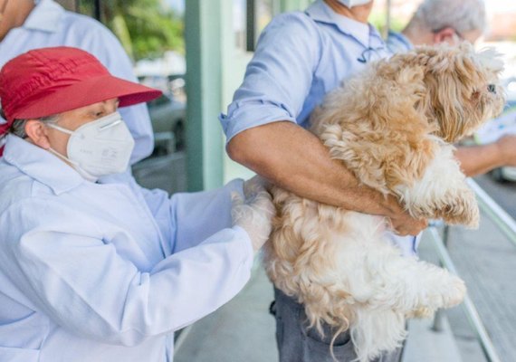 Saúde imuniza cães e gatos na parte baixa de Maceió no próximo fim de semana