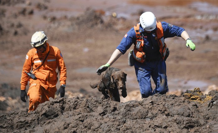 Trabalhadores movem ação de R$ 5 bilhões contra a Vale em Brumadinho
