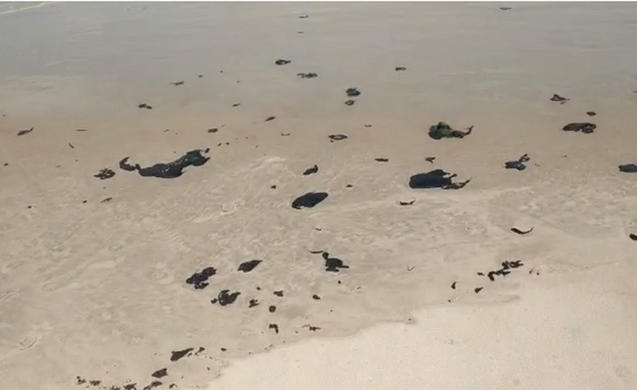 Manchas foram encontradas na praia da Lagoa do Pau, em Coruripe