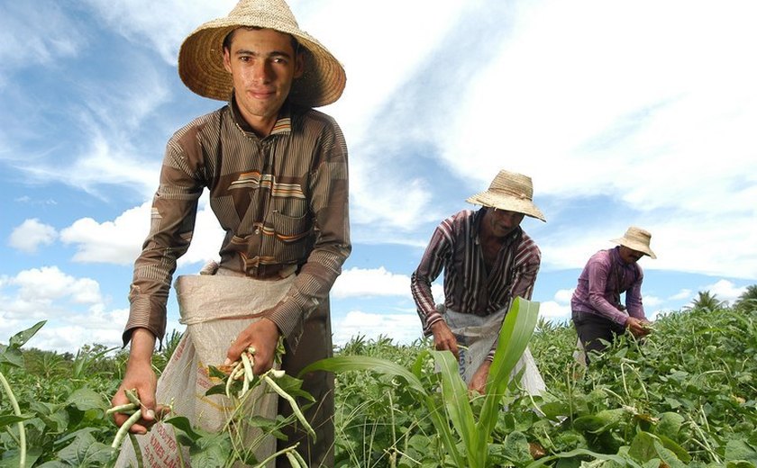 CRA tem na pauta programa nacional para jovens agricultores