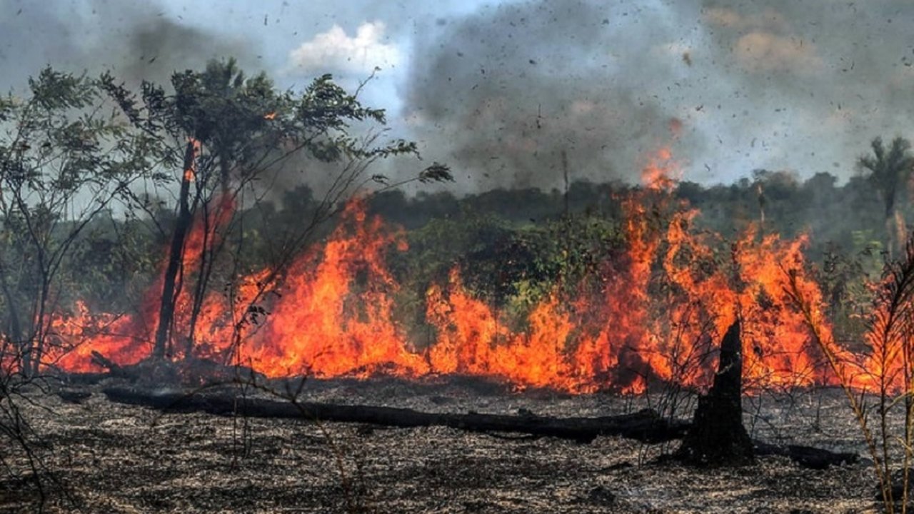 Queimadas na Amazônia têm alta de 28% no mês de julho, informa Inpe