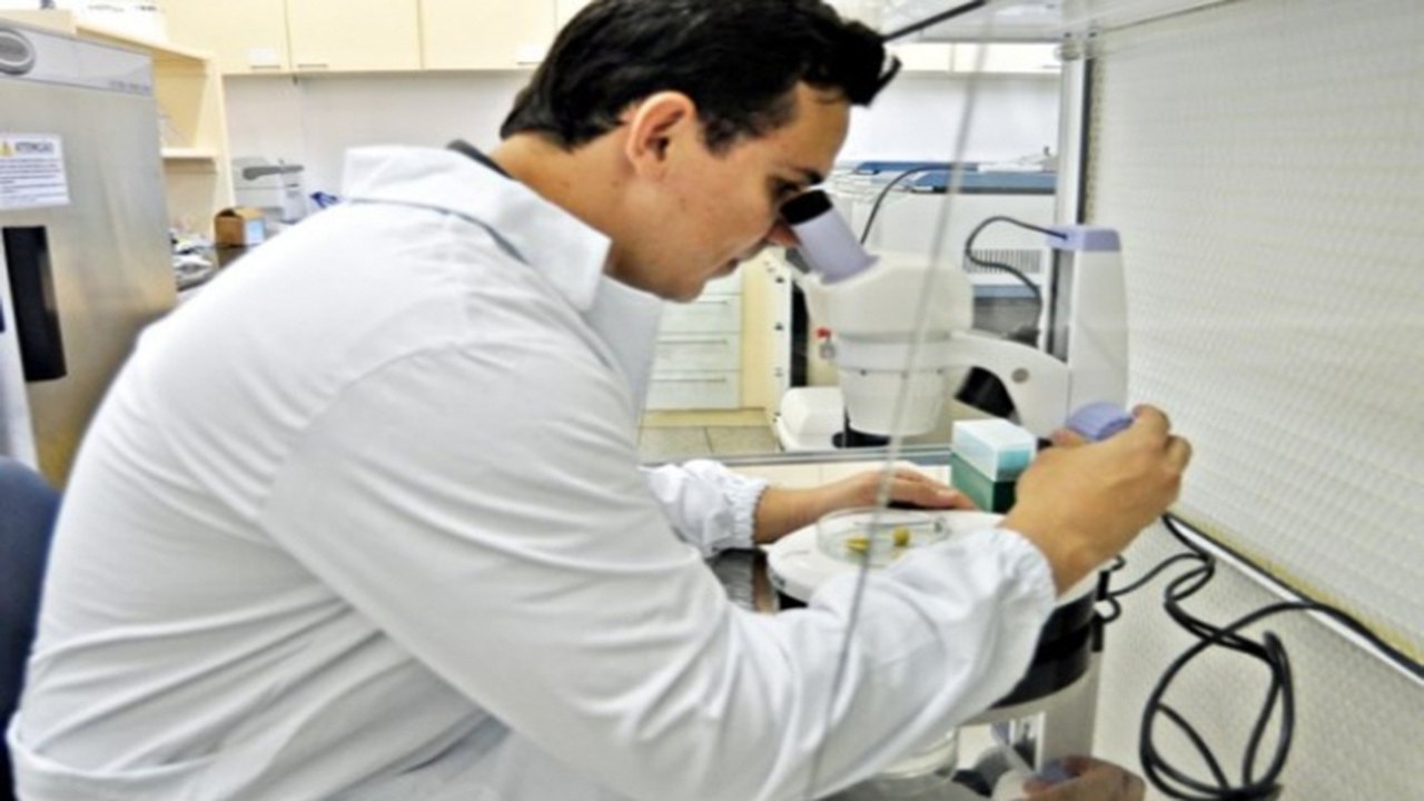 AL mira em cooperação científica internacional para atrair investidores coreanos
