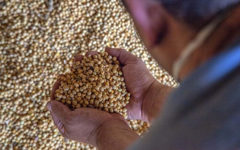 Comissão debate rastreabilidade de agrotóxicos e certificação de grãos