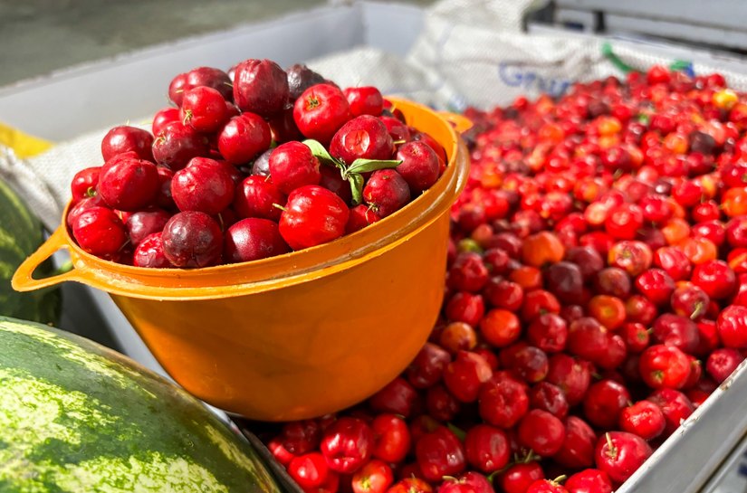 Feira da Agricultura Familiar em Maragogi vai reunir produtores do litoral ao sertão alagoano
