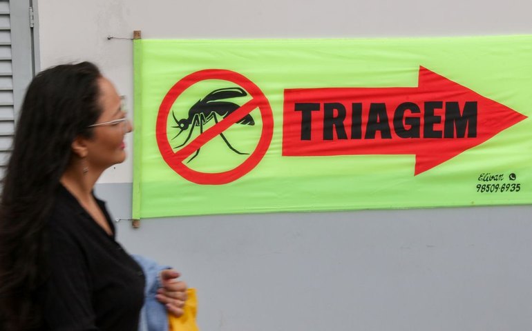 Entenda o que são sorotipos da dengue e por que o tipo 3 preocupa