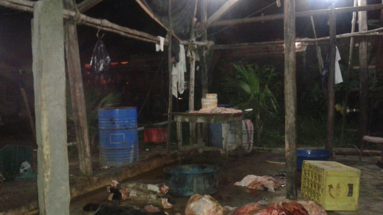 MPE realiza operação de combate ao abate clandestino de animais em São Luís do Quitunde