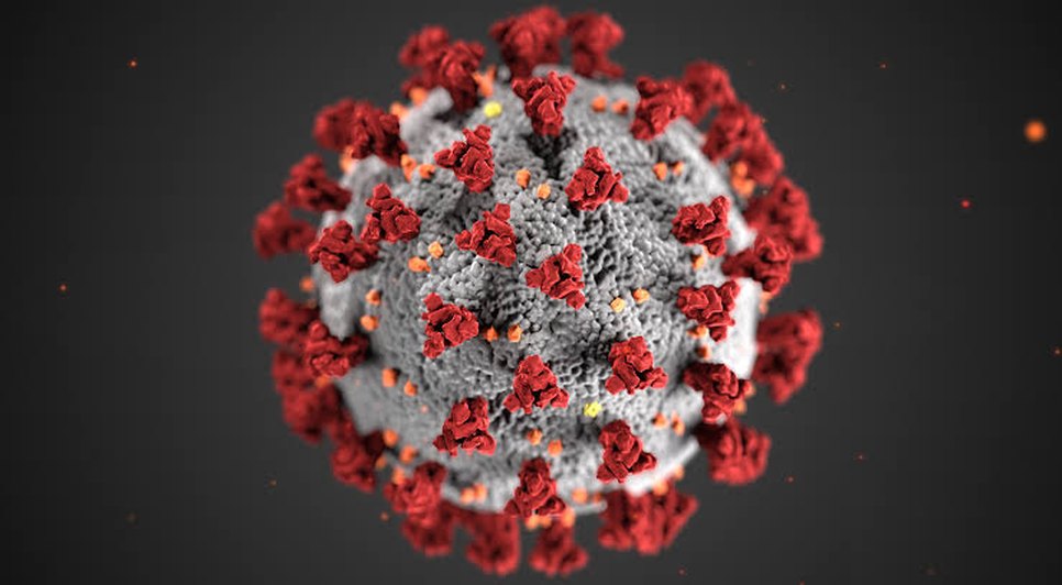 Coronavirus