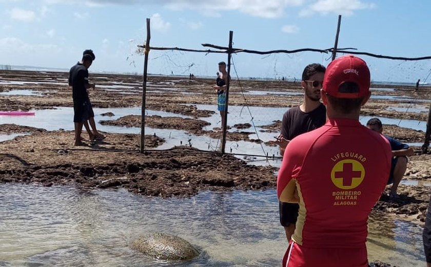 Tartaruga encalha próximo ao Marco dos Corais