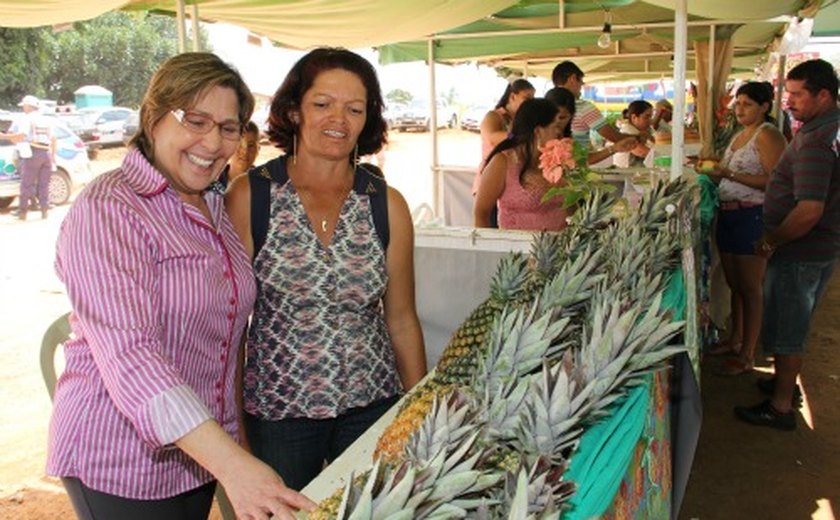 Arapiraca: Comunidade do Poção se destaca em AL na produção de abacaxi