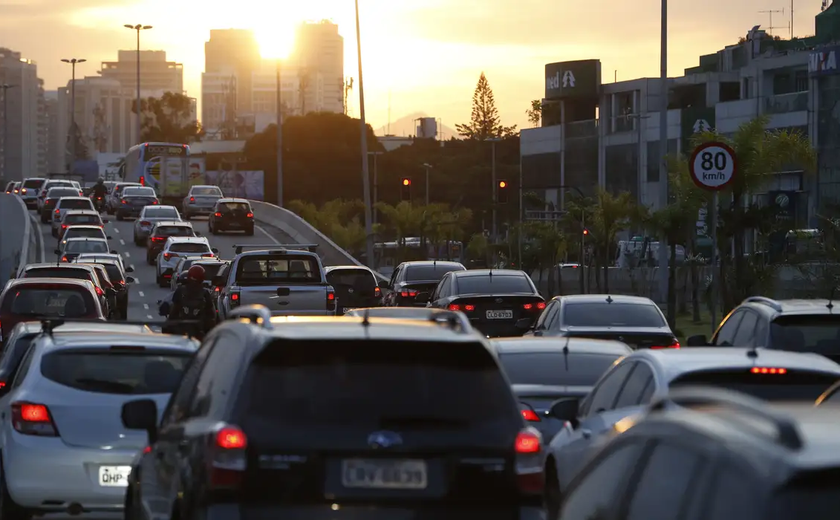 Carneiros congestionam trânsito no Daguestão