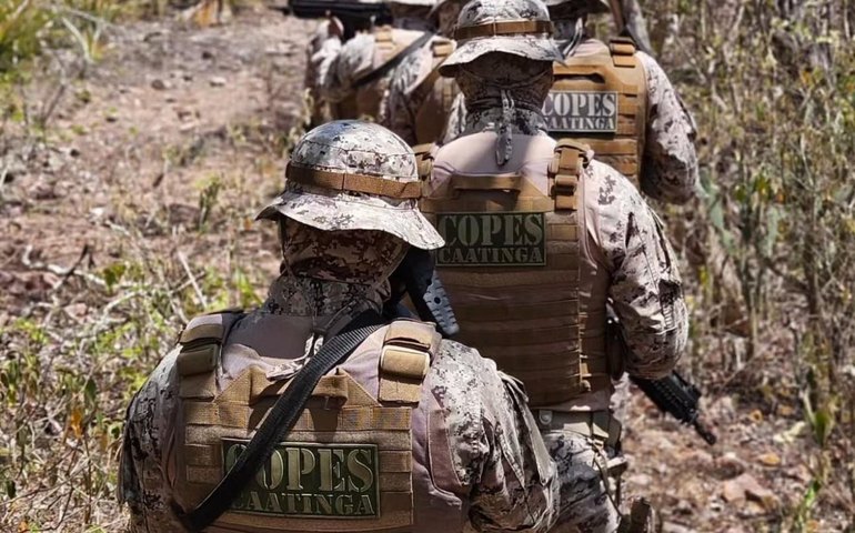 Mulher acusada de coordenar distribuição de drogas em Olho d’Água das Flores é presa após mandado judicial