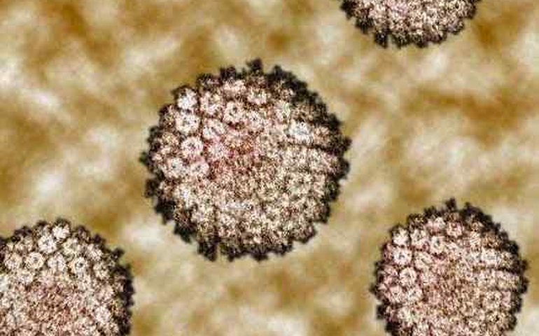 Infecções pela covid disparam; mortes também registram alta