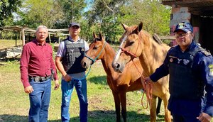 Cavalos avaliados em 12 mil reais são resgatados após roubo em Rosário do Catete / Foto: Foto: Reprodução