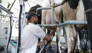 slide_3611f1fa0324f8e773553c025312f444 / Foto: Foto: Ascom/ Seagri