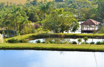 Cresce no Brasil o turismo de imersão rural