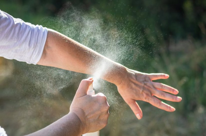 Alagoas soma mais de 1 mil casos de leishmaniose; saiba como prevenir
