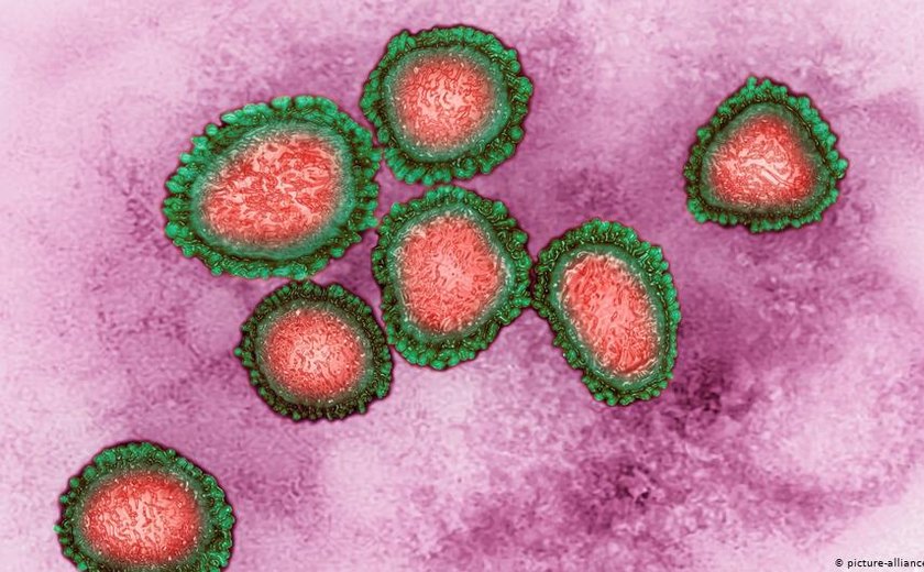 Brasil investiga nove casos suspeitos de coronavírus