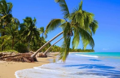 Praia do Patacho entra em fase piloto para receber certificação "Bandeira Azul"