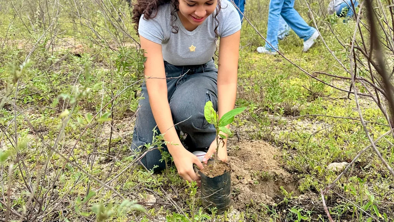IMA/AL celebra Dia da Caatinga com plantio de mudas nativas em Ouro Branco