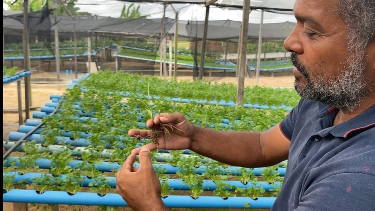 Agricultores familiares em Arapiraca zeram uso de herbicidas com apoio da Agreste Saneamento