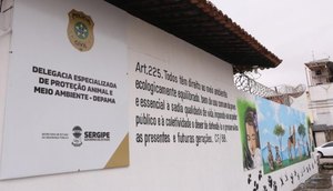 depama4-768x512-1.jpeg