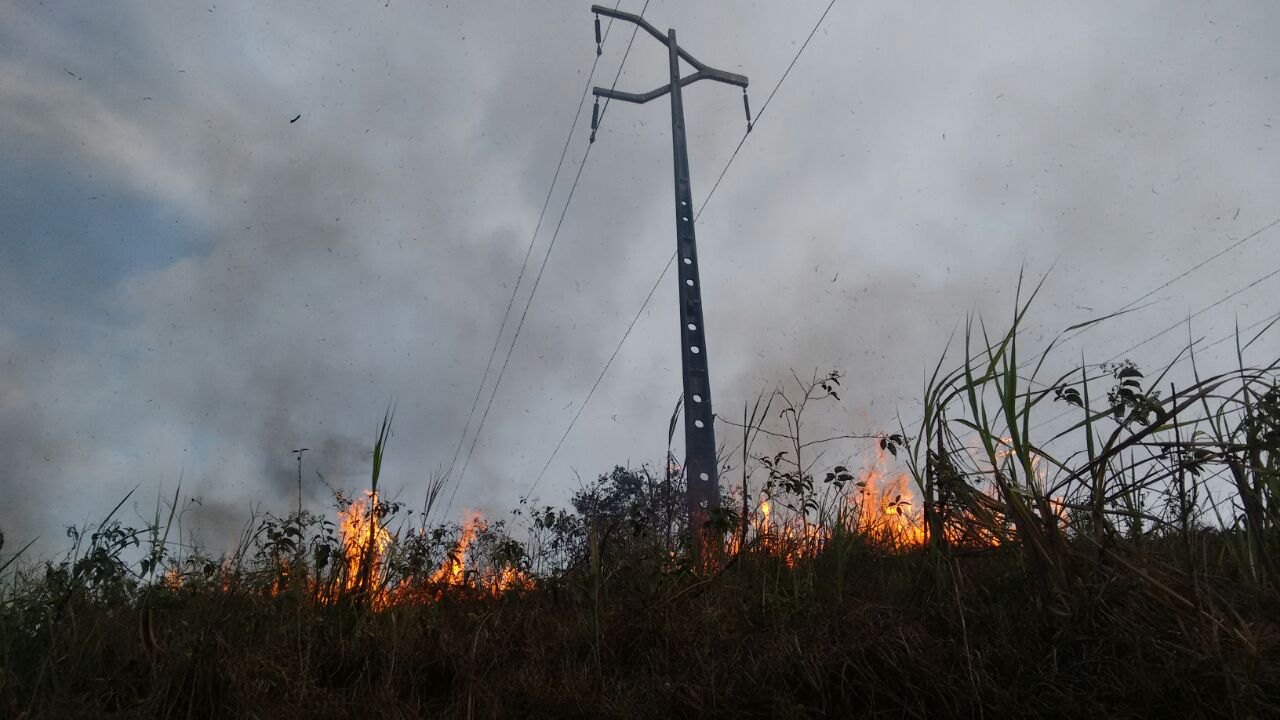 Queimadas deixam mais de 160 mil clientes sem energia