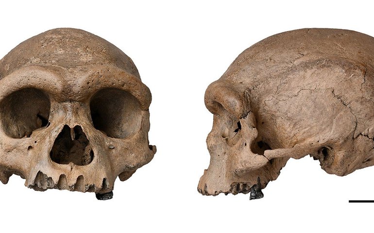 Crânios humanos são encontrados enterrados em suposto santuário em Uganda